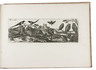 Charming print series of birds and butterflies