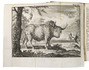 Including the first illustration of Niagara Falls and first engraving of an American bison