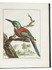 Exotic animals from the menagerie of William V