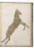 Encyclopaedic work on horses with movable anatomical plates