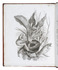 From the library of Empress Marie Louise Duchess of Parma, the second wife of Napoleon Bonaparte