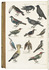 A natural history with 56 hand-coloured plates: the fossils, flora and fauna of the earth