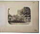 12 original photographs of the Leiden Hortus Botanicus in the 1860s