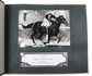 Photos of Polish Arabian horses