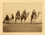Collection of various photographs of Egypt 1880