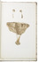 One of the very first scientific publications on fungi in Western Africa