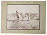 Rare photograph of three men praying in the Sahara