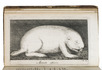 First edition of one of the very few travelogues on Japan from the 18th century