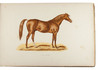 A fine series of 60 chromo-lithographed portraits of English and French race horses,<BR>in a contemporary signed binding