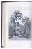 Four articles on the date palm in the Middle East, northern Africa and America