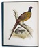 British game birds, with 60 hand-coloured plates