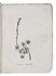 Essays on Italian plants and zoophytes