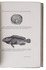 Fauna of the Indian Sea, with 98 illustrations