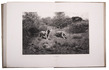 One of the rarest of all African big game hunting books, beautifully illustrated
