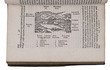 First Latin edition, printed by Plantin, of Belon's illutrated oriental travel account, with 43 woodcuts