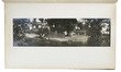 Tea and its cultivation in Asam and Ceylon investigated: presentation copy, with 22 original albumen prints