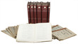 Standard hymenopterological catalogue