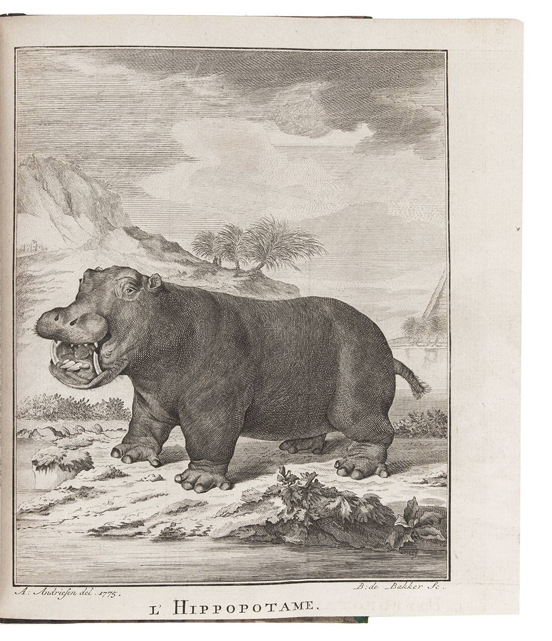 [BRINK, Carel Frederik]. - Nouvelle description du Cap de Bonne-Esprance, avec un Journal historique d'un voyage de terre, . . . , dans l'intrieur de l'Afrique. . . . Sous le commandement du Capitain Mr. Henri Hop, . . . Amsterdam, J.H. Schneider, 1778. 2 parts in 1 volume. 8vo. Title-page with an engraved vignette by Christian Friedrich Fritzsch and 16 folding engraved plates. Olive half calf (ca. 1840), gold-tooled spine.