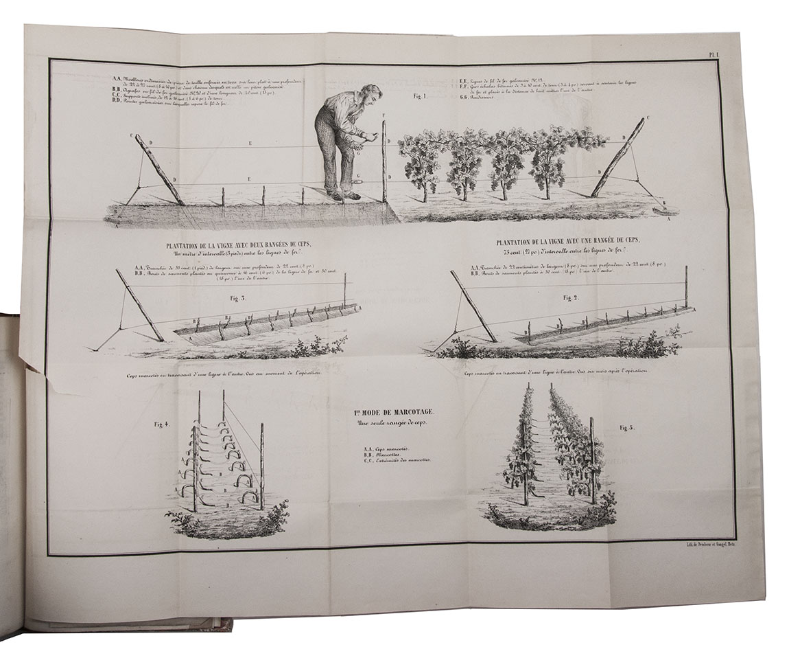 COLLIGNON D'ANCY, Thodore. - Nouveau mode de culture et d'echalassement de la vigne, applicable  tous les vignobles o l'on cultive les vignes basses. Metz, printed by Dembour and Gangel for Warion, [1847]. 8vo. With woodcut vignette on the title-page, and 3 large folding plates, lithographed by Dembours and Gangel. Modern half morocco, preserving the original illustrated wrappers.