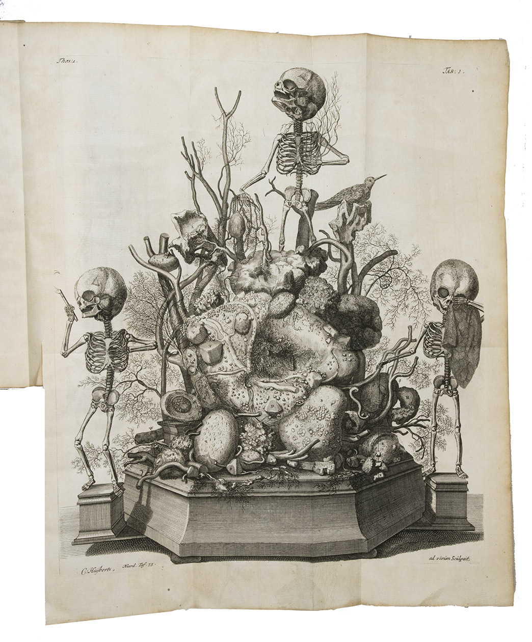 RUYSCH, Frederik. - Alle de ontleed- genees- en heelkundige werken. Meerendeels in 't Nederduyts vertaalt door Ysbrand Gysbert Arlebout. Amsterdam, Janssoons van Waesberge, 1744. 3 volumes. Large 4to. Engraved allegorical frontispiece, 3 titles in red & black, engraved portrait of Ruysch designed by I. Wandelaar and executed by D. Hoogstraten, 7 engraved illustrations in text, 2 woodcut illustrations in text and 133 engraved folding plates with anatomical designs and anatomical specimen. Contemporary marbled calf, spines ribbed and gilt with red-morocco title-labels.