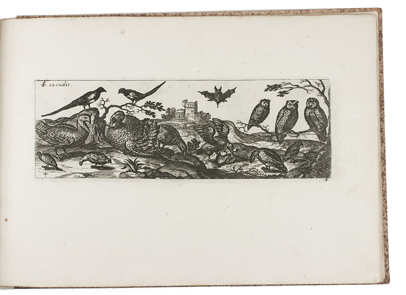 FRISIUS, Simon. - [Print series of birds and butterflies]. [Amsterdam], Frederick de Wit, [ca. 1685?]. Small oblong folio (18.5 x 26 cm). With 12 numbered engraved plates (ca. 6.5 x 20.5 cm). Modern boards.