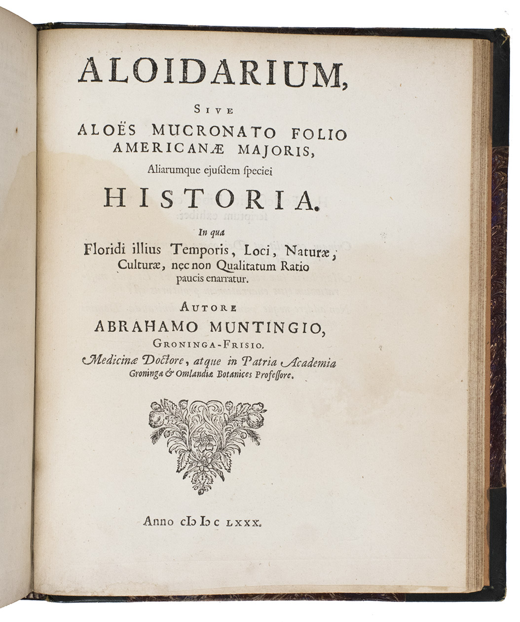 MUNTING, Abraham. - De vera antiquorum herba Britannica, eiusdemque efficacia contra stomacaccen, seu scelotyrben, Frisiis & Batavis de scheurbuyck. Dissertatio historico-medica.Amsterdam, Hieronymus Sweerts, 1681. With: (2) IDEM. Aloidarium, sive Alos Mucronato Folio Americanae Majoris, Aliarumque ejusdem specie historia. In qua Floridi illius temporis, loci, naturae, culturae, nec non qualitatum ratio paucis enarratur.[Amsterdam], [Hieronymous Sweerts], 1680.2 works in 1 volume. 4to. With a finely engraved allegorical frontispiece, a full-page engraved portrait of Hendrik Casimier of Nassau, and 24 finely engraved plates with flowering plants in the Herba, and 8 finely engraved plates with various alos in the Aloidarium. Modern half green morocco.