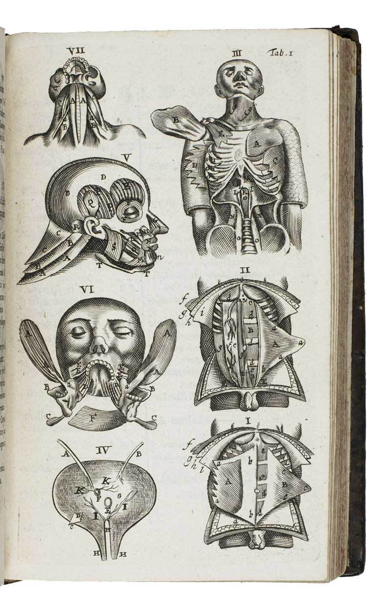 BLASIUS, Gerardus. - Observata anatomica in homine, simiā, equo, vitulo, ove, testudine, echino, glire, serpente, ardeā, variisque animalibus aliis.Leiden & Amsterdam, Gaasbeeck, 1674. With an engraved title-page by Appelman and 13 full-page engraved plates with anatomical illustrations.With: (2) BLASIUS, Gerardus. Zootomiae seu anatomes variorum animalium. Amsterdam, Abraham Wolfgang, 1676. 8vo. With an engraved title-page, 18 numbered and 6 unnumberedengraved plates (6 of the latter folding), containing many illustrations (the folding plates are often divided and mounted on separately inserted leaves, but they appear here in their original state as whole sheets). Contemporary mottled calf, gold-tooled spine with title in gold, marbled endpapers, red sprinkled edges.