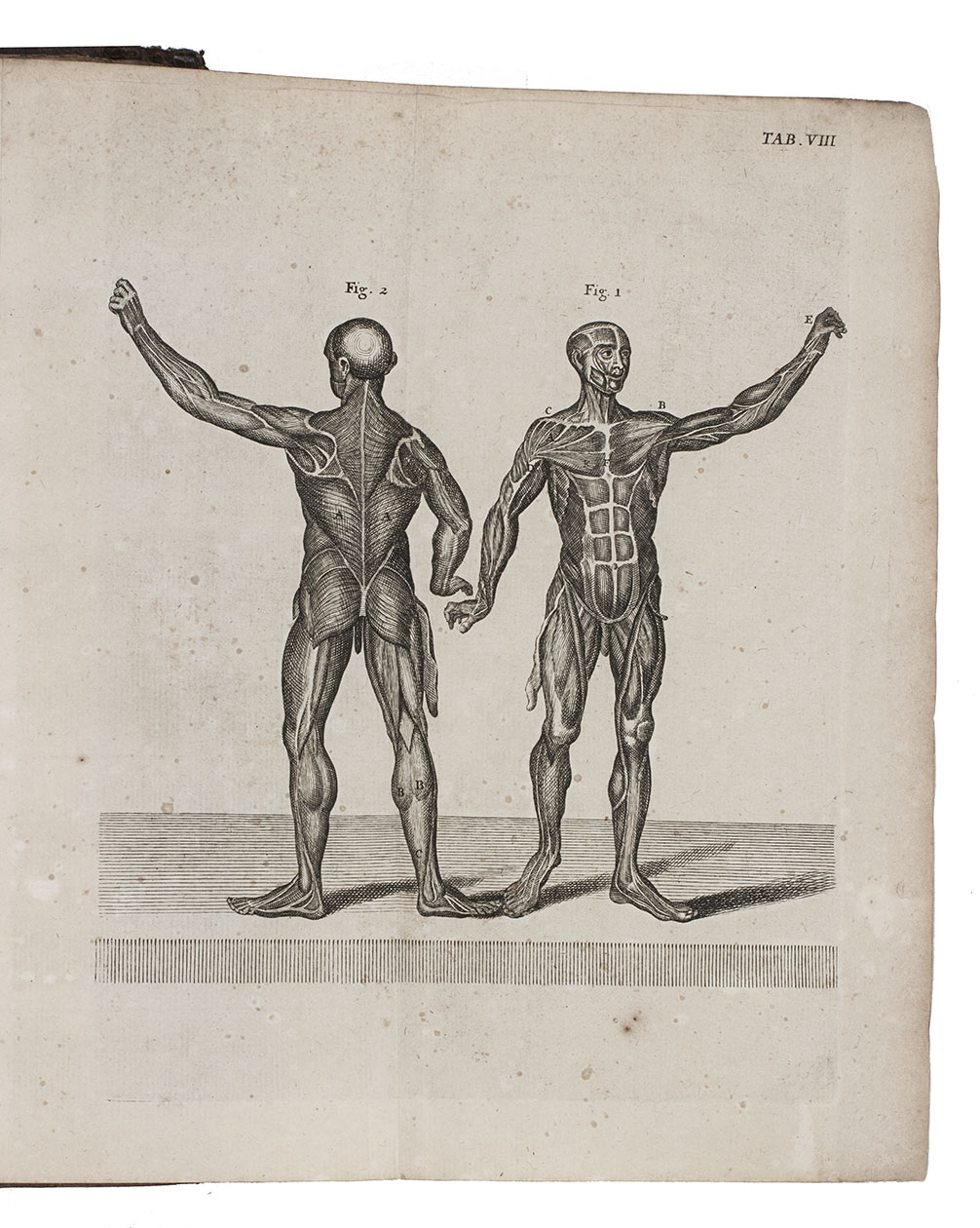 NIEUWENTYT, Bernard. - Het regt gebruik der werelt beschouwingen, ter overtuiginge van ongodisten en ongelovigen aangetoont.Amsterdam, Joannes Pauli, 1740. Large 4to. With title printed in red and black, engraved frontispiece, portrait of the author, and 28 engraved folding plates. Contemporary mottled calf, gold-tooled spine.