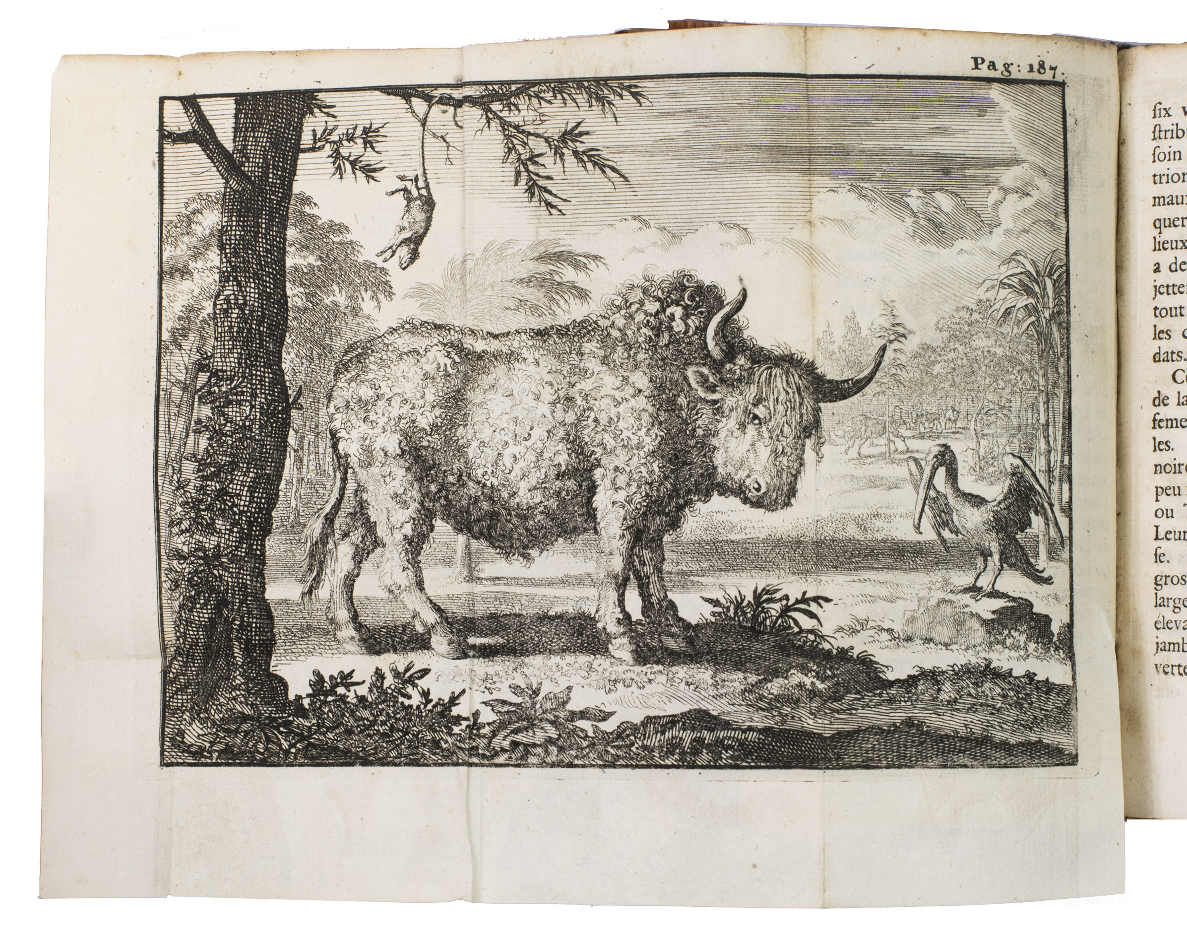 HENNEPIN, Louis. - Nouvelle decouverte d'un tres grand pays situ dans l'Amerique, entre le Nouveau Mexique, et la mer glaciale.Amsterdam, Abraham van Someren, 1698. 12mo. With engraved frontispiece by Caspar Luyken, 2 folding engraved maps and 2 folding engraved plates. Contemporary mottled calf, gold-tooled spine.