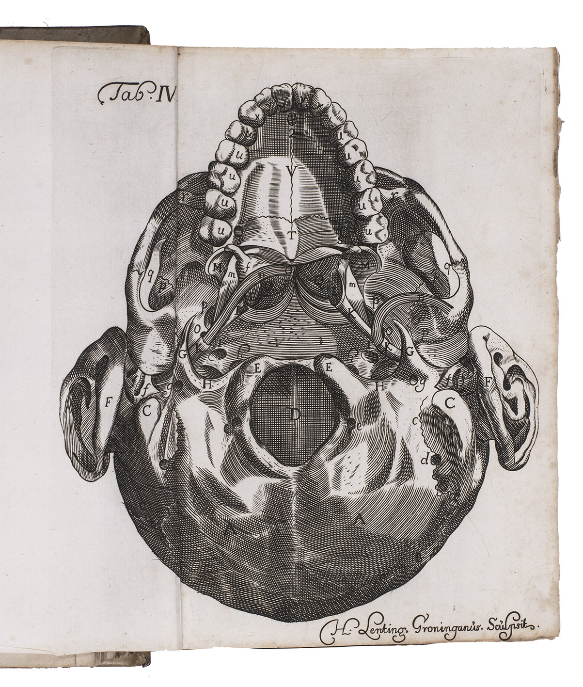 VALSALVA, Antonio Maria. - Opera. Hoc est tractatus de aure humana editione  et dissertationes anatomicae, ... Omnia recensuit, & auctoris vitam addidit Joannes Baptista Morgagnus.Leiden, Johannes Hasebroek, 1742. With title-page printed in red and black and 13 folding engraved plates.With: (2) DUVERNEY, Guichard Joseph. Tractatus de organo auditus, continens structuram, usum et morbos omnium auris partium.Nrnberg, printed by Johann Zieger for Johann Michael Sprlin, 1684. With 16 folding engraved plates, unsigned, but attributed to Sebastien le Clerc (1637-1714). 2 works in 1 volume. Small 4to (20.5 x 16.5 cm). Contemporary vellum.