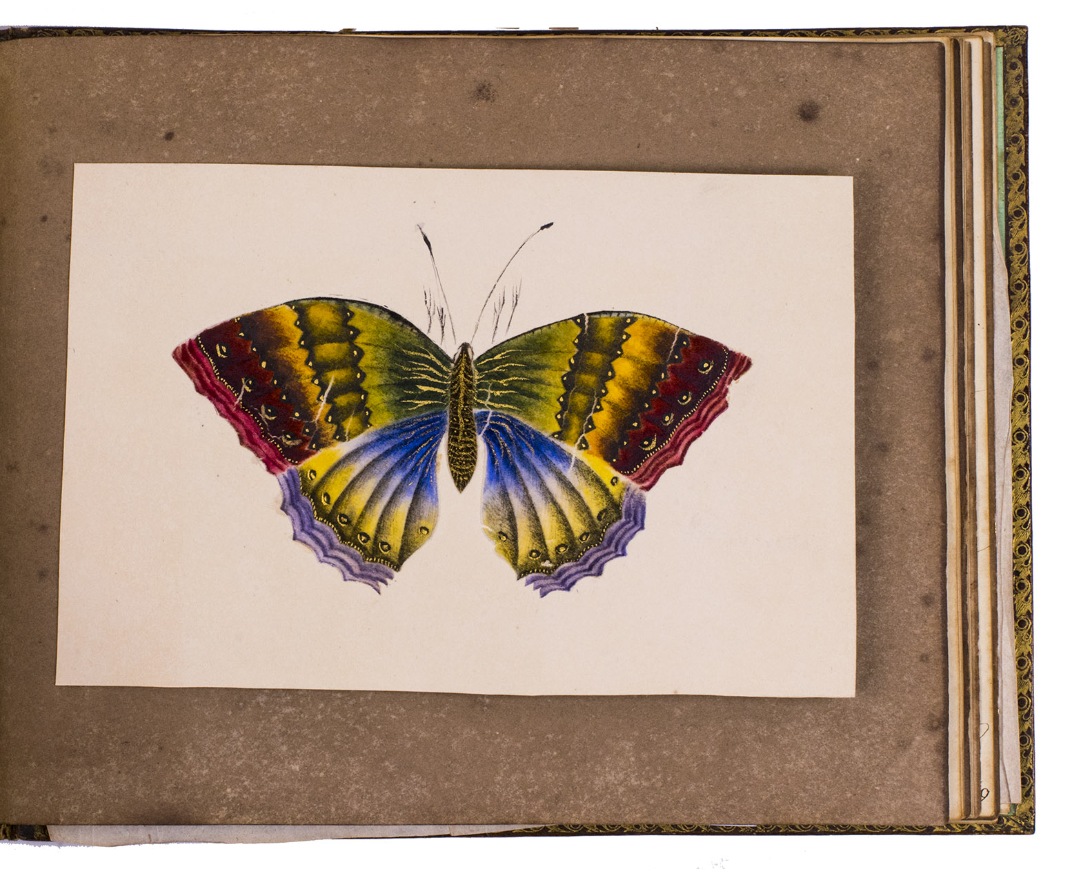 [ALBUM AMICORUM & SCRAPBOOK - THE NETHERLANDS]. - [Album amicorum of a Miss van Boetzelaer (?)].Heerenveen, 1831-1849. Oblong 4to. Manuscript with many contributions in French and English, a single contribution in Dutch and a four-line verse in German, mainly written in the same hand, probably of the owner of this album. With 45 mounted or occasionally loosely inserted drawings, paintings and prints in various formats, some coloured by contemporary hands. Contemporary gold- and blind-tooled brown morocco, each board richly decorated with frames and an oblong lozenge-shaped centrepiece, gilt edges.