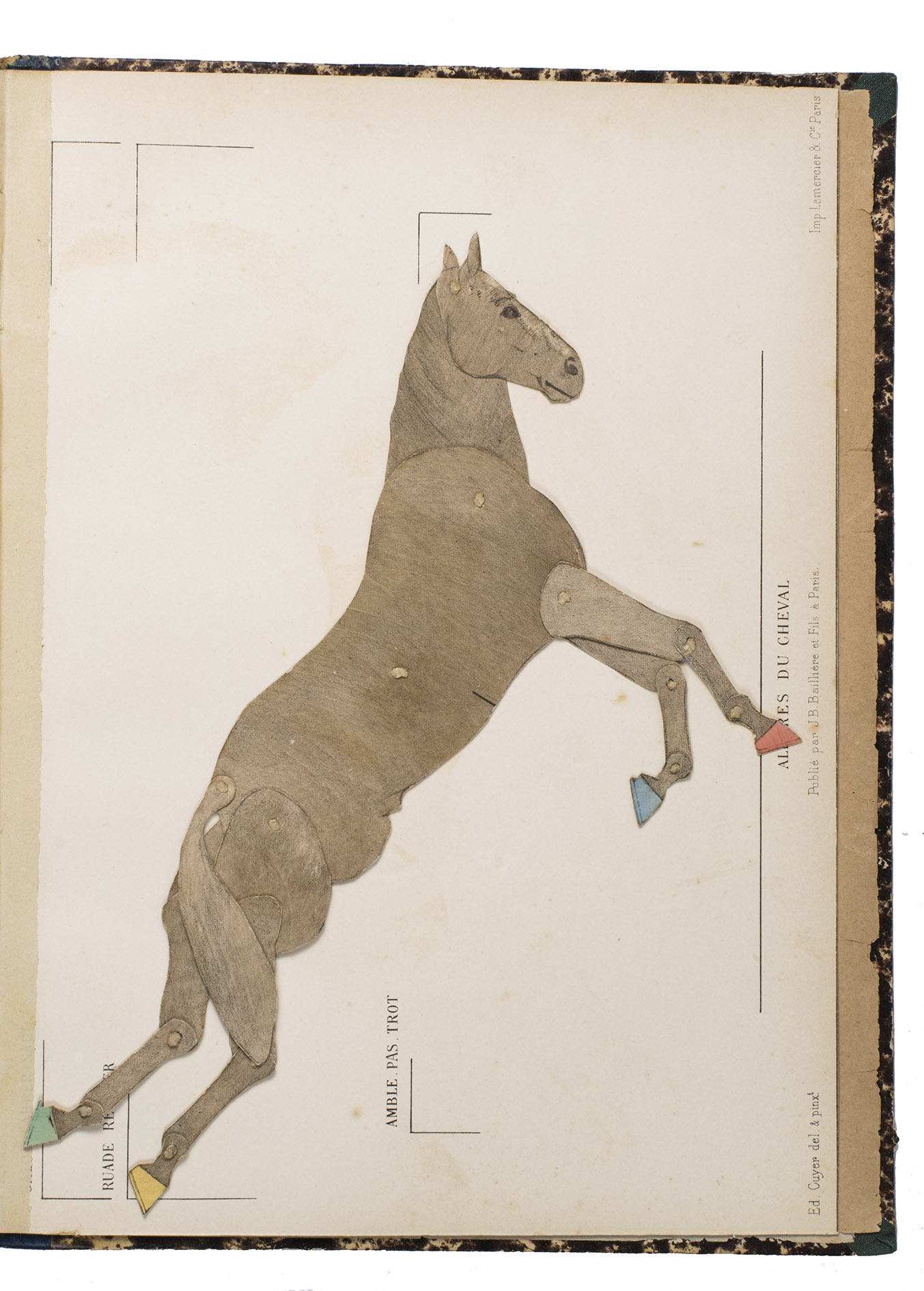 ALIX, Eugne and douard CUYER. - Le cheval extrieur ...Paris, J-B. Baillire & Sons, 1886. 2 volumes. 4to. With 16 lithographed plates in the atlas volume showing the anatomy of horses, including 13 with movable parts, all in colour, the text volume contains 172 illustrations in the text by douard Cuyer. Contemporary half blue calf (or sheepskin?), marbled sides, with the title lettered in gold on the spine.