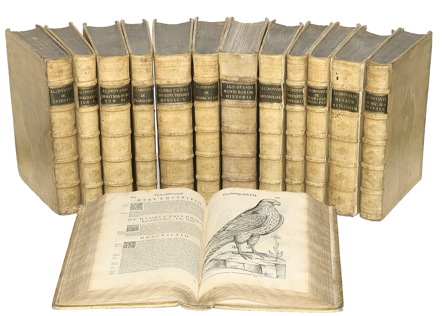ALDROVANDI (ALDOVANDUS), Ulisse. - [Opera omnia]. Bologna, 1599-1668. 13 volumes. Folio (35 x 24 cm). With an engraved title page to each volume, an engraved full-page portrait of Aldrovandi in 3 volumes and several thousand woodcut illustrations in the text, mostly after designs by J. Ligozzi and many full-page. Blind-tooled vellum (ca. 1645 & ca. 1670), with a large centrepiece on each board (the 11 volumes dated 1599-1642 from a single block; the 2 volumes dated 1648 & 1667 from a different block), the spines uniformly gold-tooled in the 18th-century.