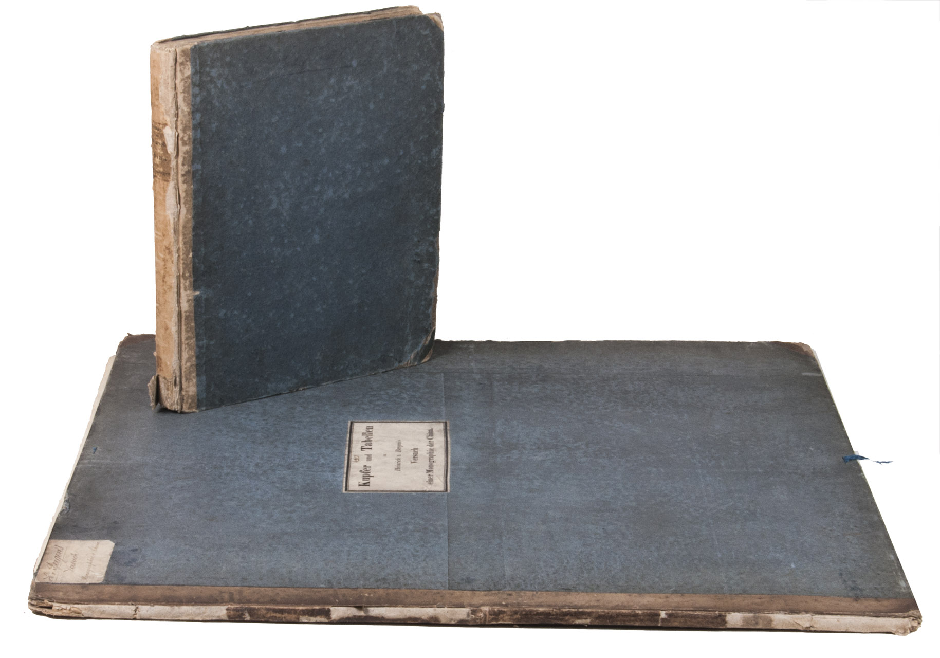 BERGEN, Heinrich von. - Versuch einer Monographie der China. Hamburg, Hartwig &Muller, 1826. 2 volumes. Text volume 4to & atlas volume in royal folio. With 8 hand coloured engraved plates by Gustav Andreas Forsmann, and 5 leaves with 10 folding tables in the atlas volume. Uniform original blue boards, the atlas volume is a portfolio with the plates loosely inserted and remnants of blue closing ties.