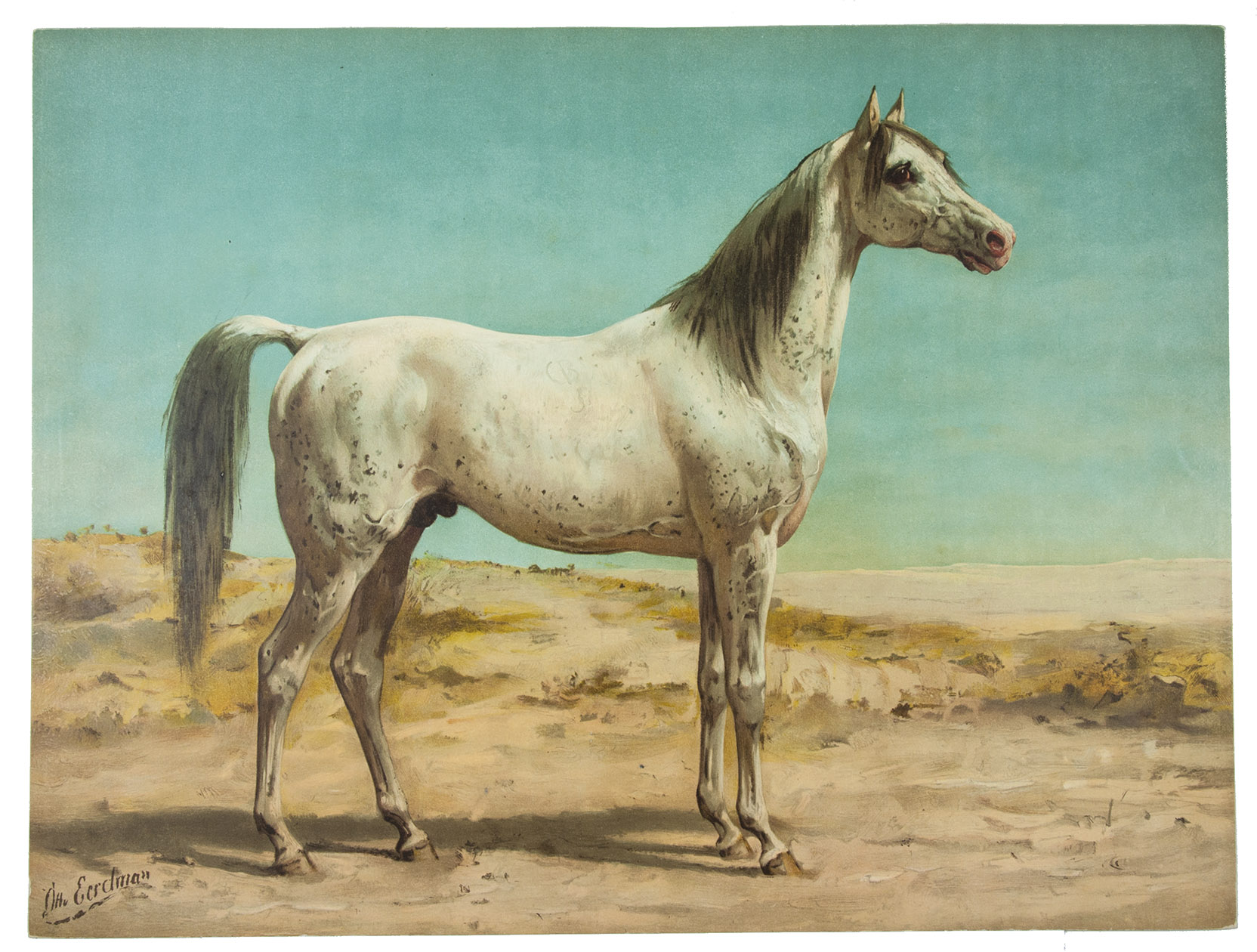 EERELMAN, Otto & Eugenius Antonius Ludovicus QUADEKKER. - Paardenrassen. Kunstalbum van een en veertig afbeeldingen naar schilderijen van Otto Eerelman. Met beschrijvingen door E.A.L. Quadekker.Zutphen, Schillemans & Van Belkum, [1898]. Large oblong folio (47 x 62 cm). With 41 chromo-lithographed plates of horses (45 x 59 cm) and several small lithographs at the end of each text. 12 parts in the original publisher's wrappers, preserved in the publisher's original richly gold-blocked brown decorated cloth portfolio.