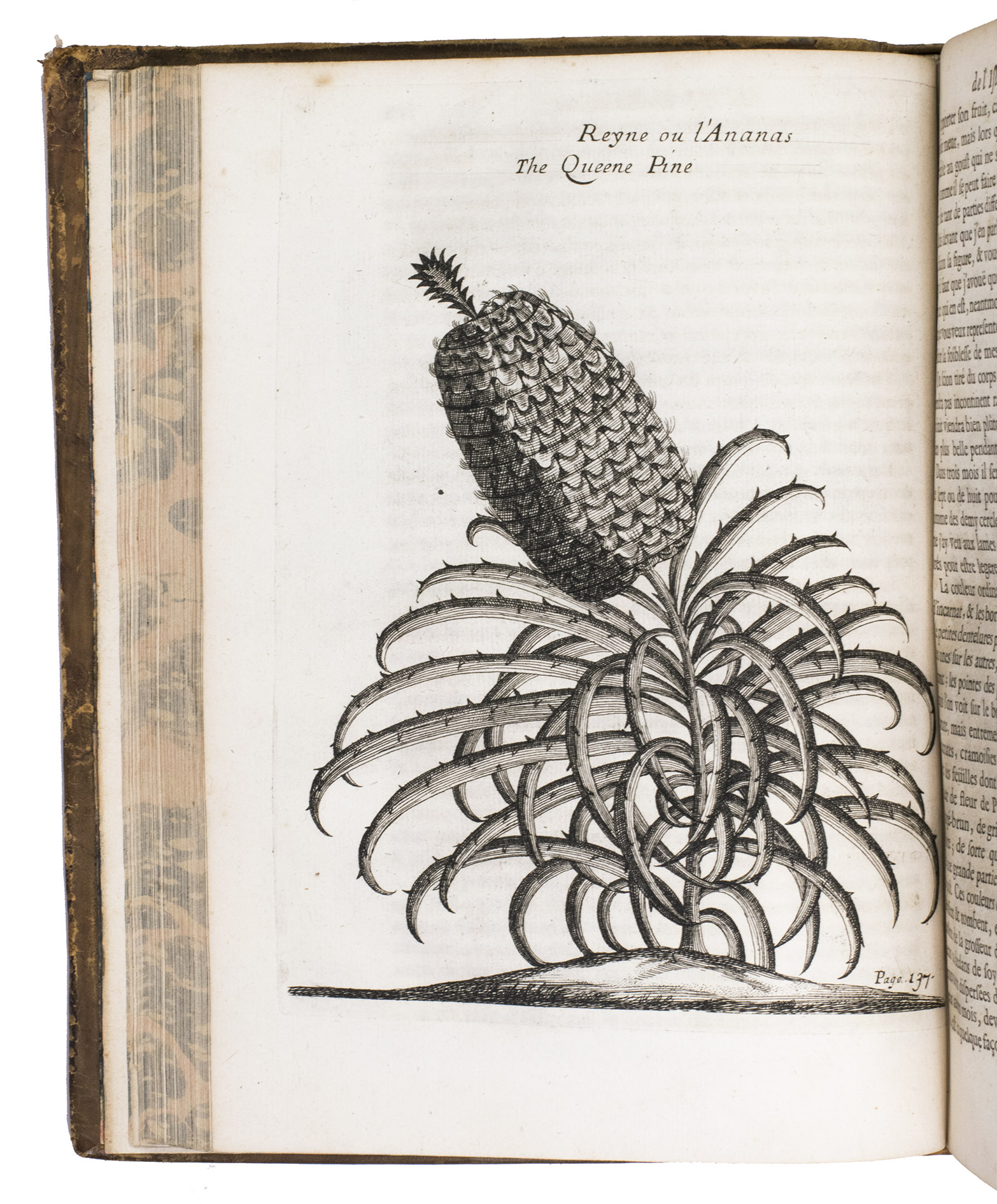 [JUSTEL, Henri]. - Recueil de divers voyages faits en Afrique et en l'Amerique.Paris, Louis Billaine, 1674. With 17 engraved plates: 5 maps (4 folding), 3 folding plans and 9 other illustrations. With: (2) GRELOT, Guillaume-Joseph. Relation nouvelle d'un voyage de Constantinople.Paris, Nicolas Belley, 1689 (colophon 1680). With engraved portrait of a saint on title-page, 13 engraved plates, 4 engravings in text and engraved coat of arms. 2 works in 1 volume. 4to. 18th-century tan calf, gold-tooled spine.