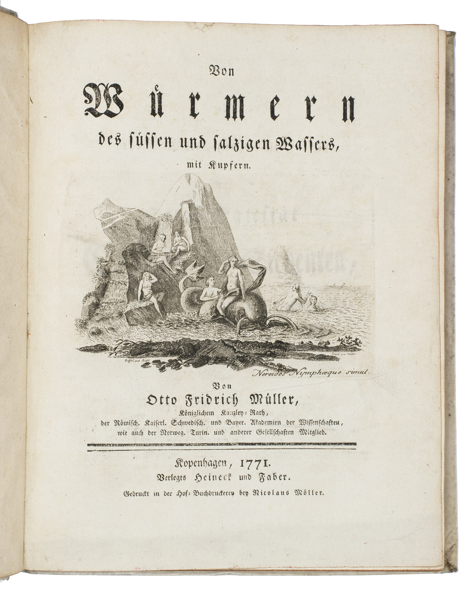 MLLER, Otto Frederik. - Von Wrmern des sssen und salzigen Wassers.Copenhagen, Nicolas Mller for Heineck & Faber, 1771. 4to. With an engraved vignette after Bissel on title-page, 16 plates with half-page engravings and 3 engraved tables (2 full-page and one half-page with illustrations). Contemporary vellum.
