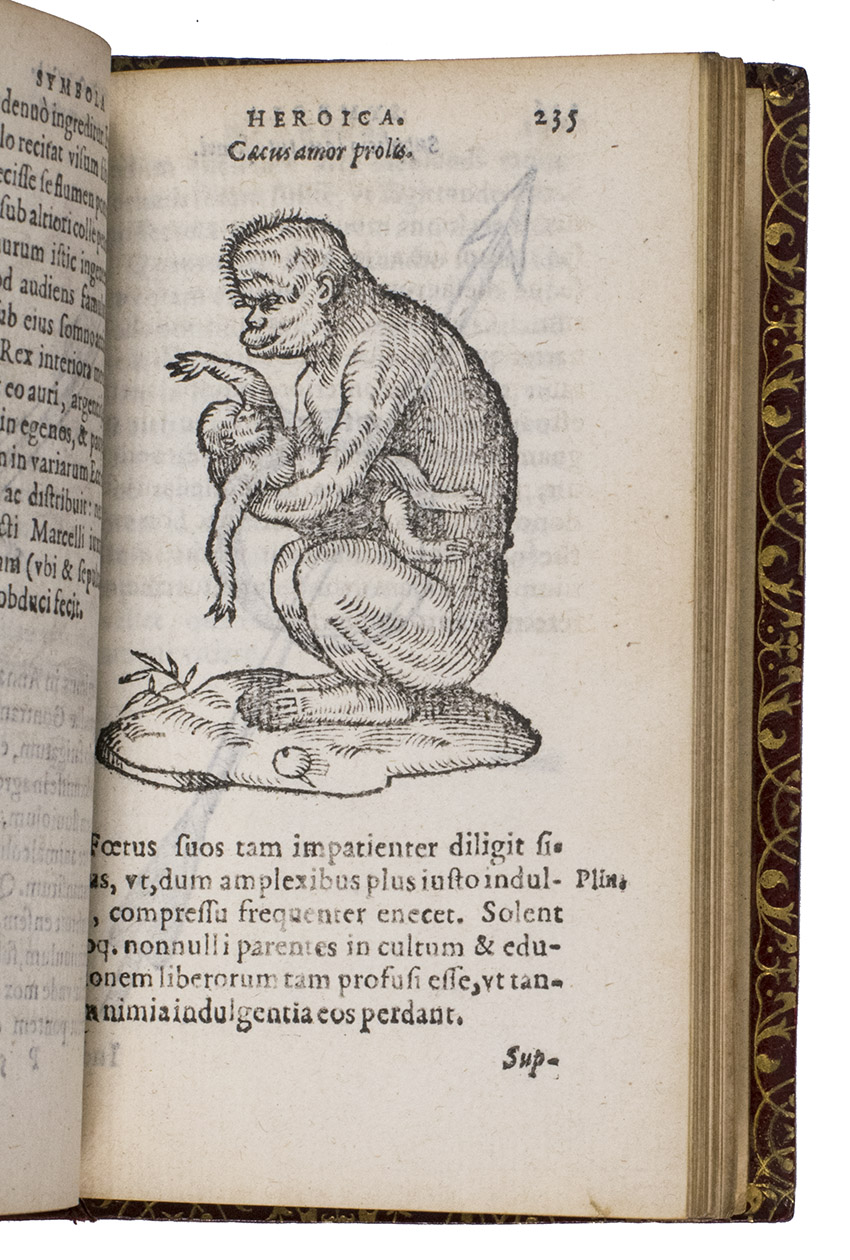 PARADIN, Claude and Gabriel SYMEON. - Symbola heroica. M. Claudii Paradini, beliiocensis canonici et D. Gabrielis Symeonis. Multo, qum antea, fidelis de Gallica lingua in Latinam conversa.Antwerp, Christophe Plantin, 1583. 12mo. With 216 woodcut illustrations in text, namely 179 for Paradin and 37 for Simeon. 19th-century gold-tooled red morocco, gilt edges; bound by Thompson.