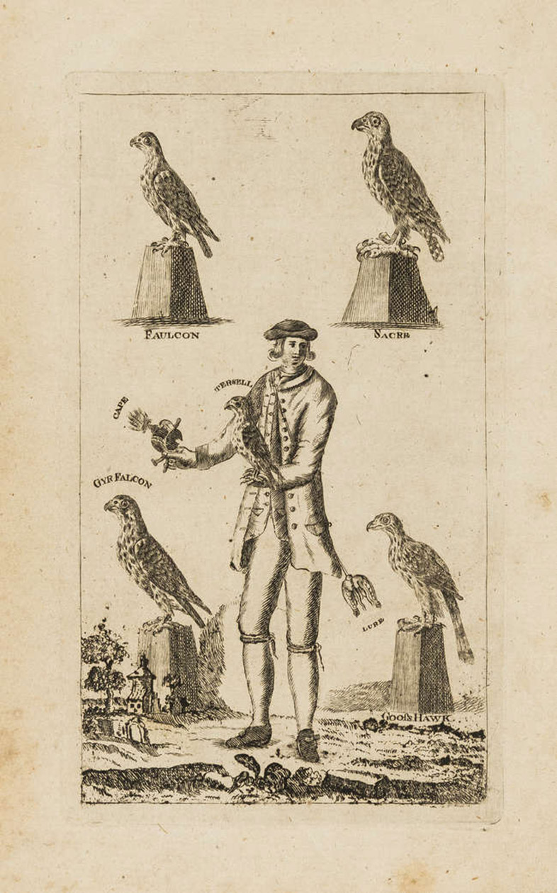 CAMPBELL, James. - A treatise of modern faulconry: to which is prefixed, from authors not generally known, an introduction, shewing the practice of faulconry in certain remote times and countries.Edinburgh, Balfour & Smellie for the author, 1773. 8vo. With an engraved frontispiece depicting a falconer. Contemporary half calf.