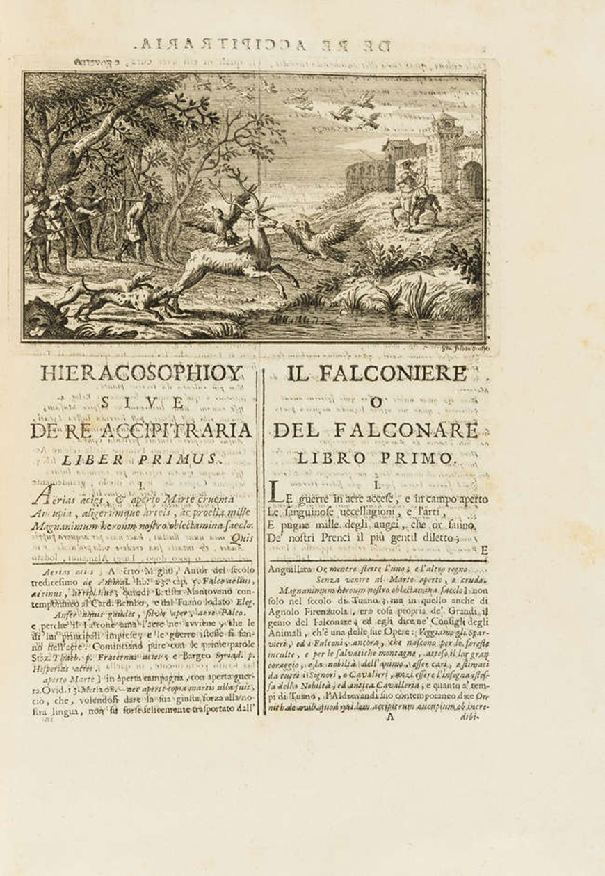 THOU, Jacques-Auguste de. - Il Falconiere.Venice, Giambatista Albrizzi, 1735. 2 parts in 1 volume. 4to. With engraved frontispiece, title vignette, portrait and 9 engraved vignettes, some with falconry themes. Contemporary vellum.