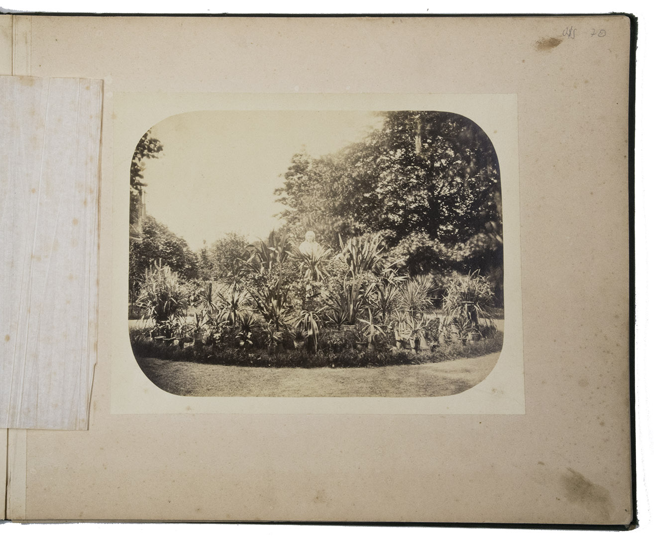 GOEDELJEE, Jan. - [Title on front cover:] Photographische gezichten in s Rijks Akademietuin te Leiden. 1866.Leiden, 1866. Oblong folio. 12 original photographic albumen prints (ca. 19.5 x 25 cm) with rounded corners, mounted on paperboard leaves (30.5 x 37 cm), with tissue guard leaves. Contemporary blind-tooled green cloth with title in gold on the front board, silk endpapers.