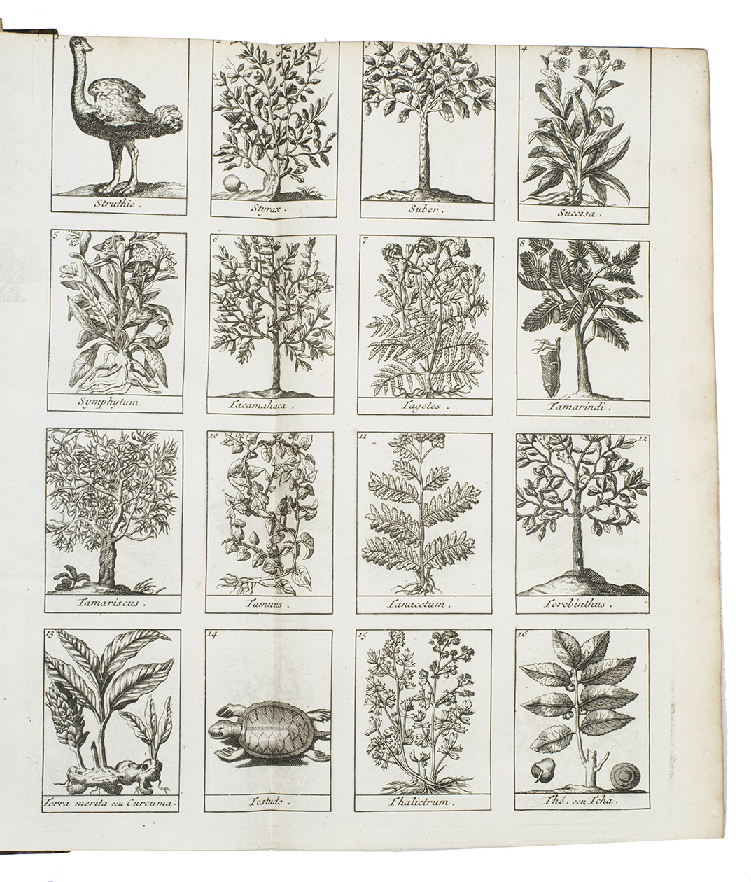 LMERY, Nicolas. - Dictionaire ou trait universel des drogues simples. O lon trouve leurs differens noms, leur origine  & tout ce quil y a de particulier dans les animaux, dans les vegetaux, & dans les mineraux. Ouvrage dpendant de la pharmacope universelle. Troisime dition. Revue, corrig, & beaucoup augmente par lauteur.Amsterdam, for the 