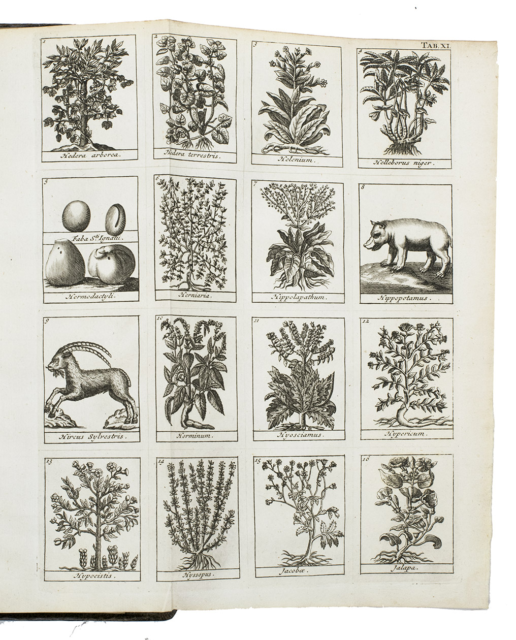 LEMERY, Nicolas. - Dictionaire ou trait universel des drogues simples. O lon trouve leurs differens noms, leur origine  & tout ce quil y a de particulier dans les animaux, dans les vegetaux, & dans les mineraux. Ouvrage dpendant de la pharmacope universelle. Quatrime dition. Revue, corrig, & beaucoup augmente par lauteur.Rotterdam, Jean Hofhout, 1727. Large 4to. With an engraved title-vignette and 25 folding engraved plates each with 16 figures of various plants, animals and metals, in alphabetical order. Contemporary half calf,.