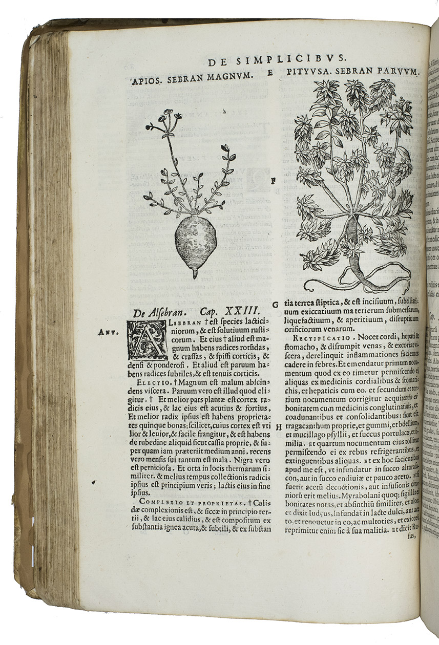 MESUE the younger (MASAWAIH AL-MARDINI). - Opera. De medicamentorum purgantium delectu, castigatione, & usu, libri duo ...Venice, Lucantonio Giunta, 1581. 2 parts in 1 volume. Folio (23 x 34 cm). With 39 woodcut illustrations in the text. Near-contemporary vellum, black morocco spine label with title in gold.