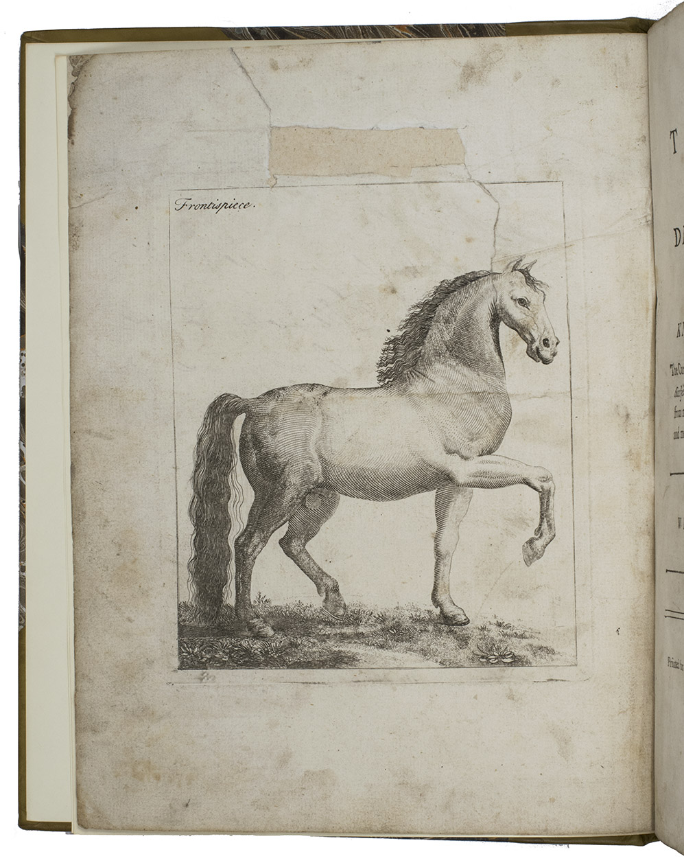 GIBSON, William. - A new treatise on the diseases of horses: wherein what is necessary to the knowledge of a horse, the cure of his siseases, and other matters relating to that subject, are fully discussed  with the cheapest and most efficacious remedies.London, for A. Millar, 1751. Large 4to. With an engraved frontispiece of a perfect stallion and 31 numbered engraved plates of skulls, bones, legs, intestines, bloodstreams, ulcers, swellings and other diseases. 20th-century half calf.