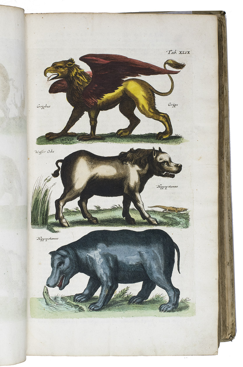 JONSTON, Johannes (Matthias GRAUS, translator). - Naeukeurige beschryving van de natuur der vier-voetige dieren, vissen en bloedlooze water-dieren, vogelen, kronkel-dieren, slangen en draken.Amsterdam, Jan Jacobsz. Schipper, 1660. 6 parts (issued as 4) in 1 volume. Folio. With a general letterpress title-page without imprint, 2 letterpress part-titles without imprint, 4 hand-coloured engraved part-titles and with 250 expertly engraved plates, 249 coloured by a contemporary hand. Further with woodcut decorated initials, coloured by hand with the letters themselves in gold. 18th-century(?) blind-tooled vellum.