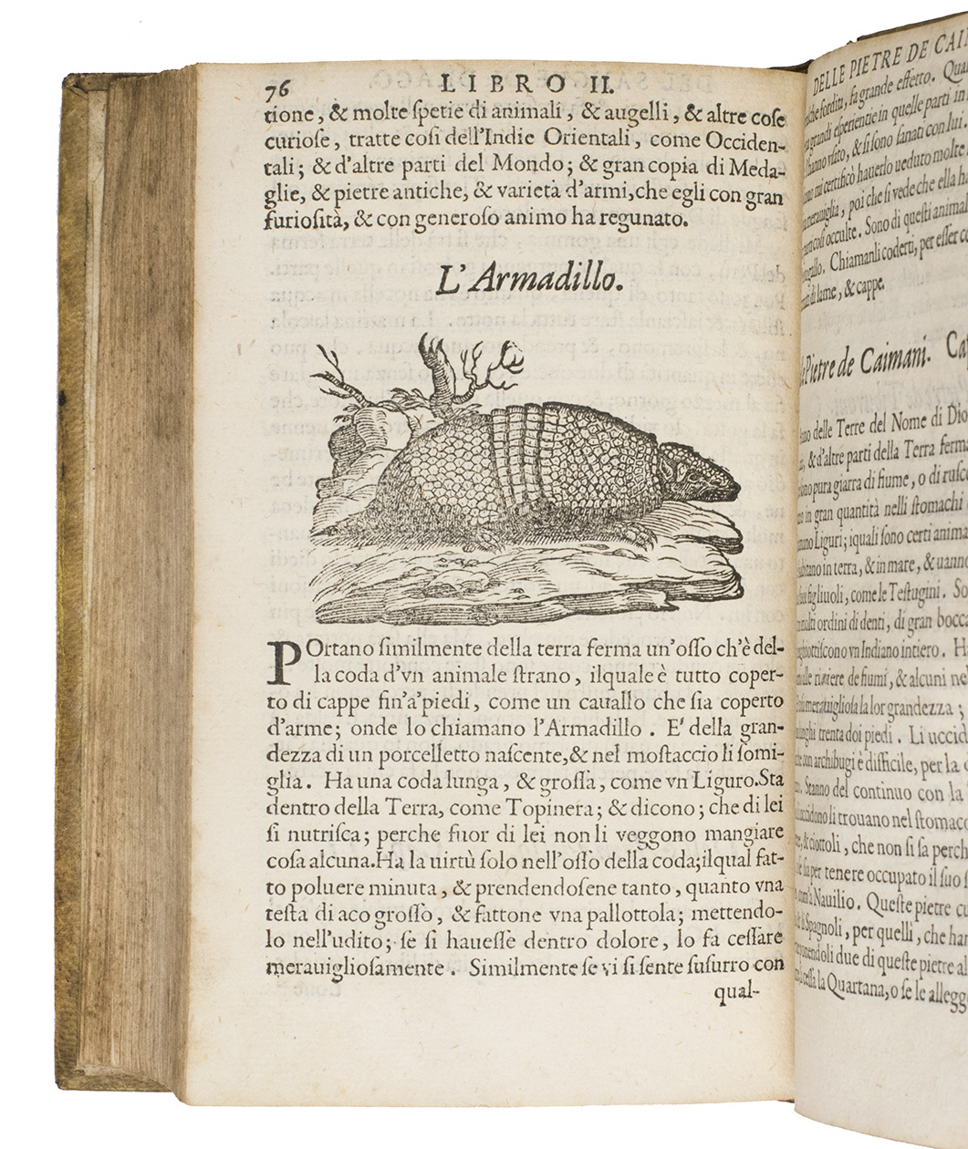 ORTA, Garcia de, Nicols MONARDES and others. - Dell'historia dei semplici aromati, et altre cose: che vengono portate dall'Indie Orientali pertinenti all'uso della medicina.Venice, Francesco Ziletti, 1589. 2 volumes bound as 1, the first in 4 parts and the second in 2 parts. 8vo. With a woodcut printer's device on the title-page of volume 1 and the divisional title page of volume 2, 28 woodcut illustrations in text.Later yellow painted (sheepskin) parchment.