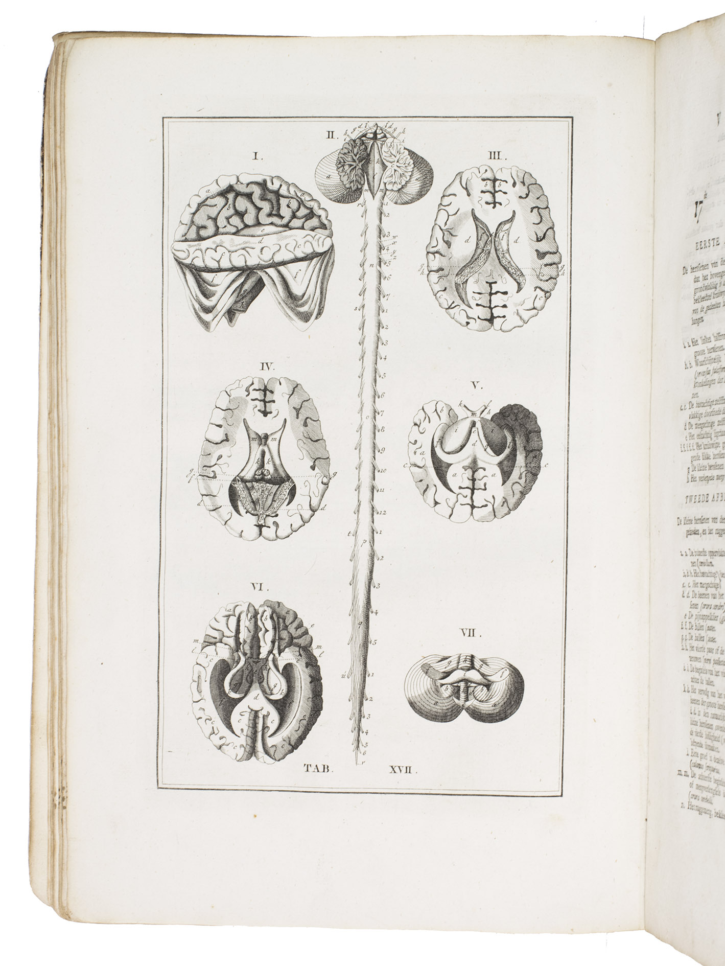 EUSTACHIUS, Bartolomaeus and Andreas BONN (editor). - De ontleedkundige plaaten van B. Eustachius.Amsterdam, Lodewijk van Es, [1798]. Folio (ca. 37 x 24.5 cm). With 47 engraved plates on 41 leaves.  Early 19th-century quarter vellum, brown marbled paper sides, with the author in manuscript at the head of the spine.