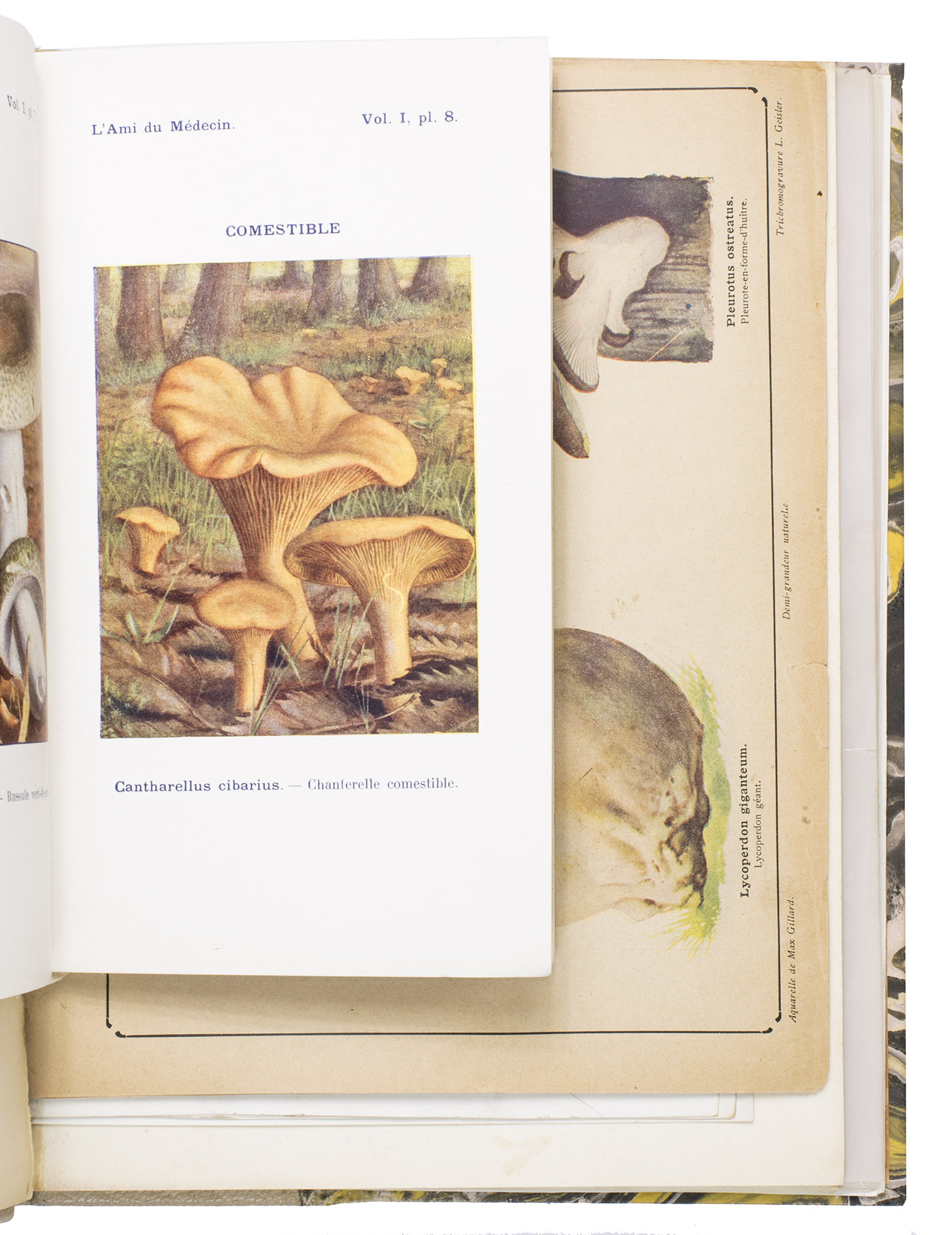 [MUSHROOMS - FUNGI]. - [Mushroom album].[France, after 1910].Comprising: (1) ROLLAND, Lon. Prospectus [for the] Atlas des champignons de France, Suisse et Belgique.Paris, Paul Klincksieck, 1908.(2) [PERIODICAL]. L'ami du Mdcin.Paris, March, April, May, July, and August 1909.(3) [BENARDIN, Ch.]. Les champignons. [Extrait de Soixante champignons comestibles, Fascicules V-VI and IX-XIII]. [Saint-Di-des-Vosges and Raon-ltape, M. Weick and Papeteries des chatelles, ca. 1903?].(4) [WATERCOLOUR DRAWINGS - MUSHROOMS]. [Eight leaves containing original watercolour drawings of mushrooms].(5) [MANUSCRIPT - FRENCH - M.C. COOKE]. Les champignons. [Extract from Bibliothque scientifique internationale, tome XV]. [in/after 1882]. 5 works in 1 volume, the second in 5 issues. Ca. 25 x 19.5 cm. Ad 1 with 4 colour-printed plates designed by A. Bessin and engraved by Lassus, ad 2 with 10 colour-printed plates (2 per issue) and some black and white illustrations in the text. Contemporary half white goat leather, marbled paper sides, end papers with a printed marbled design. Ad 2 with the original blue printed paper wrappers bound in.