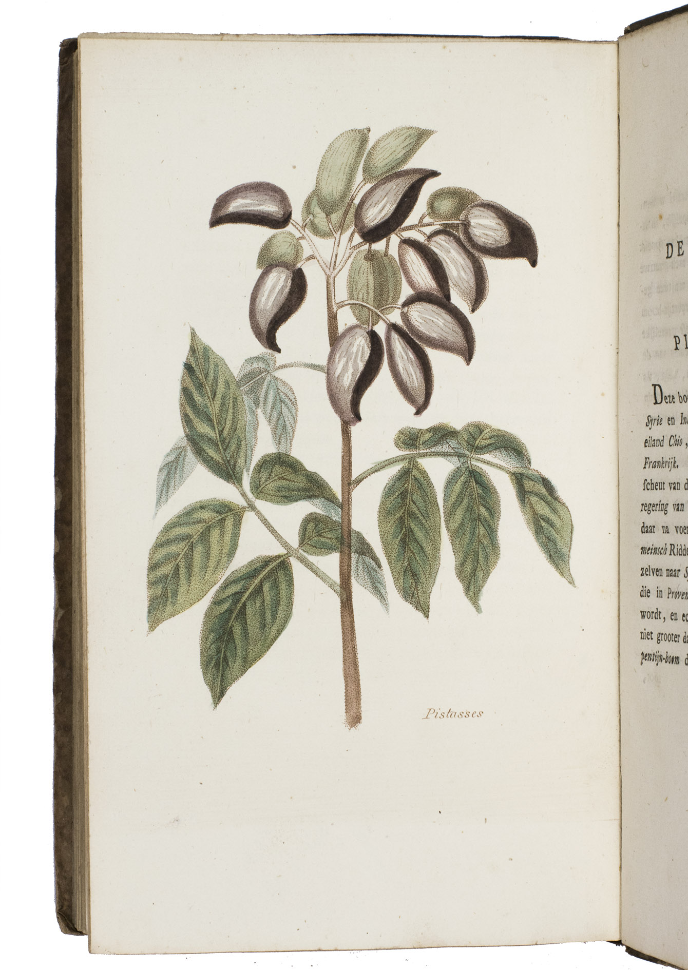 ROEMER, Jan. - Vruchtmandje voor de jeugd.Amsterdam, J. Kaal, [1811]. 8vo. With a hand-coloured vignette (a fruit basket) on the title-page and 18 hand-coloured full-page plates. Original publisher's stiff brown printed paper boards.